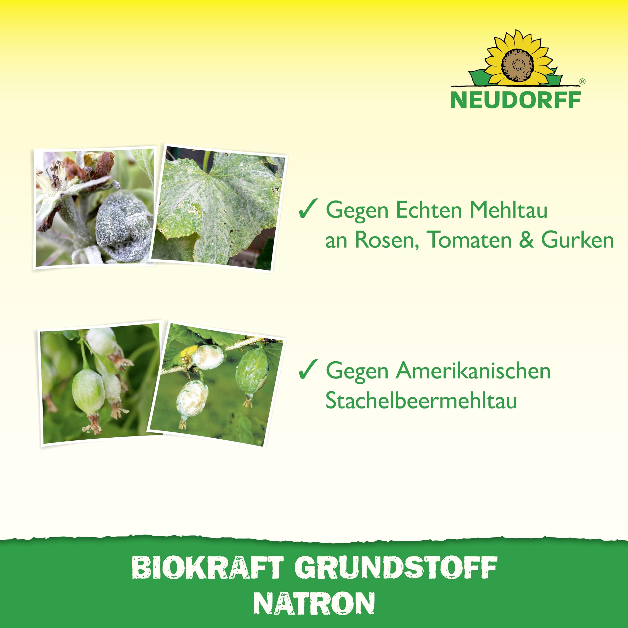 Neudorff BioKraft Grundstoff Natron – Anwendungsfertiges Spray gegen Pilzkrankheiten an Rosen und anderen Zierpflanzen, mit pflanzlichen Inhaltsstoffen, 500 ml