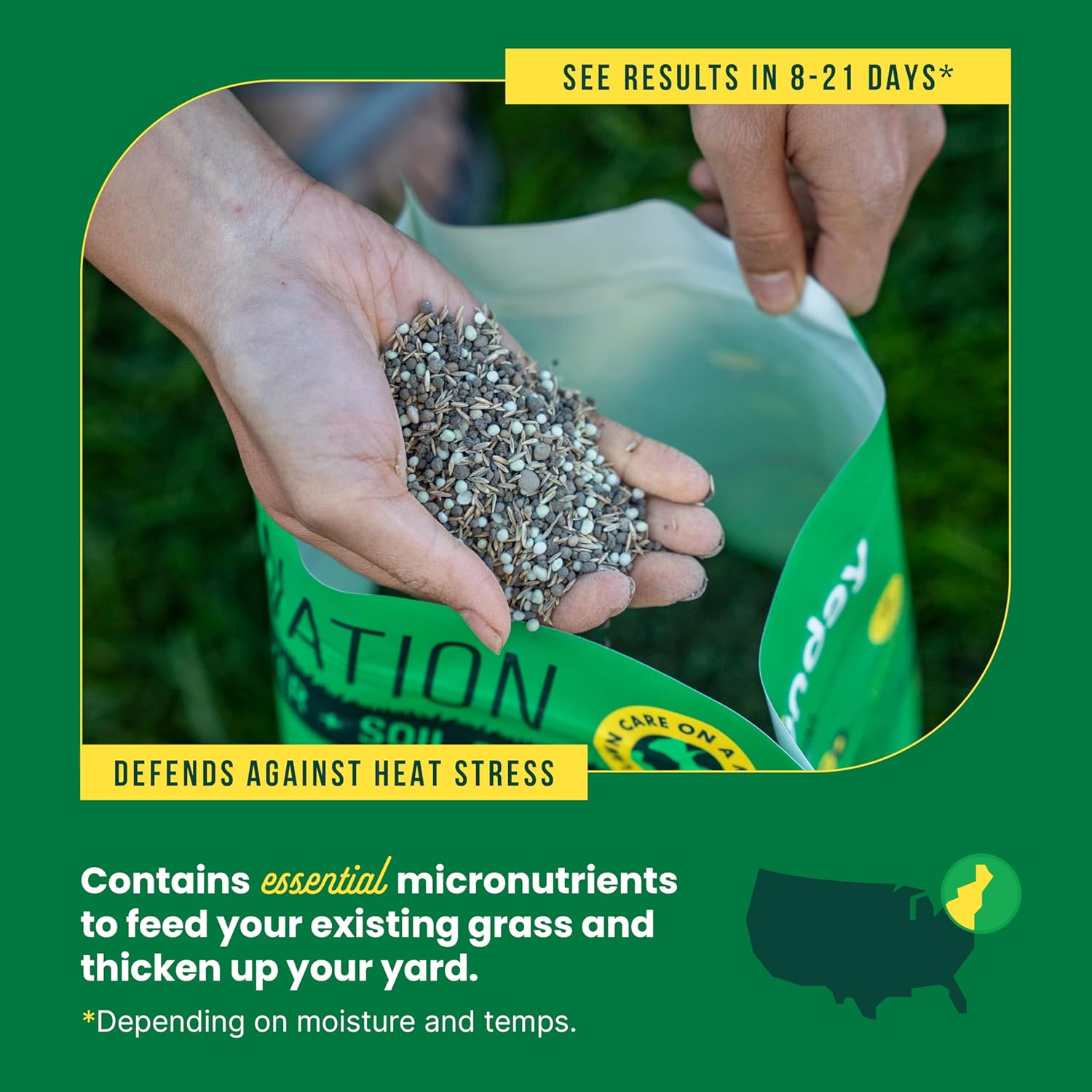 Sunday Northeast Seed + Feed - Grass Seed, Soil Conditioner, & Fertilizer Mix - Northeast Lawn Seed with Tall Fescue, Fine Fescue & Tetraploid Ryegrass - 9-0-2 NPK - Covers 1,500 sq. ft. - 10lbs