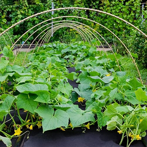 Miniatura 5 de Tela de barrera de malezas para paisaje, 3.2 onzas de alta calidad, resistente para bloquear malas hierbas, tapete de cubierta de suelo para