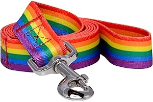 Native Pup Dog Pride Rainbow Flag Leash for LGBTQ