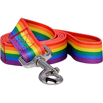 Rainbow dog collar and lead Clearance