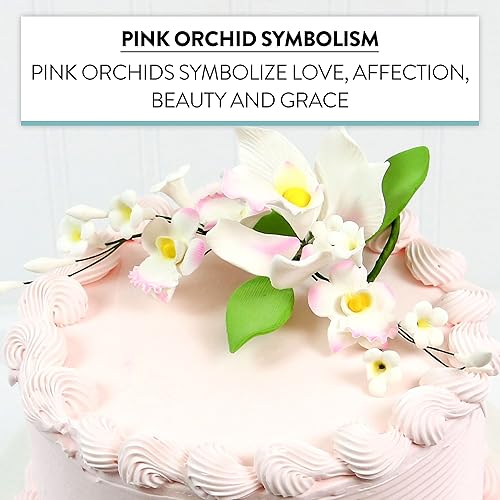 Vista 27 de Global Sugar Art Cattleya Orchid Sugar Cake Flowers - Aerosol arqueado, blanco, 1 unidad por el chef Alan Tetreault Cattleya - Spray de orquídea