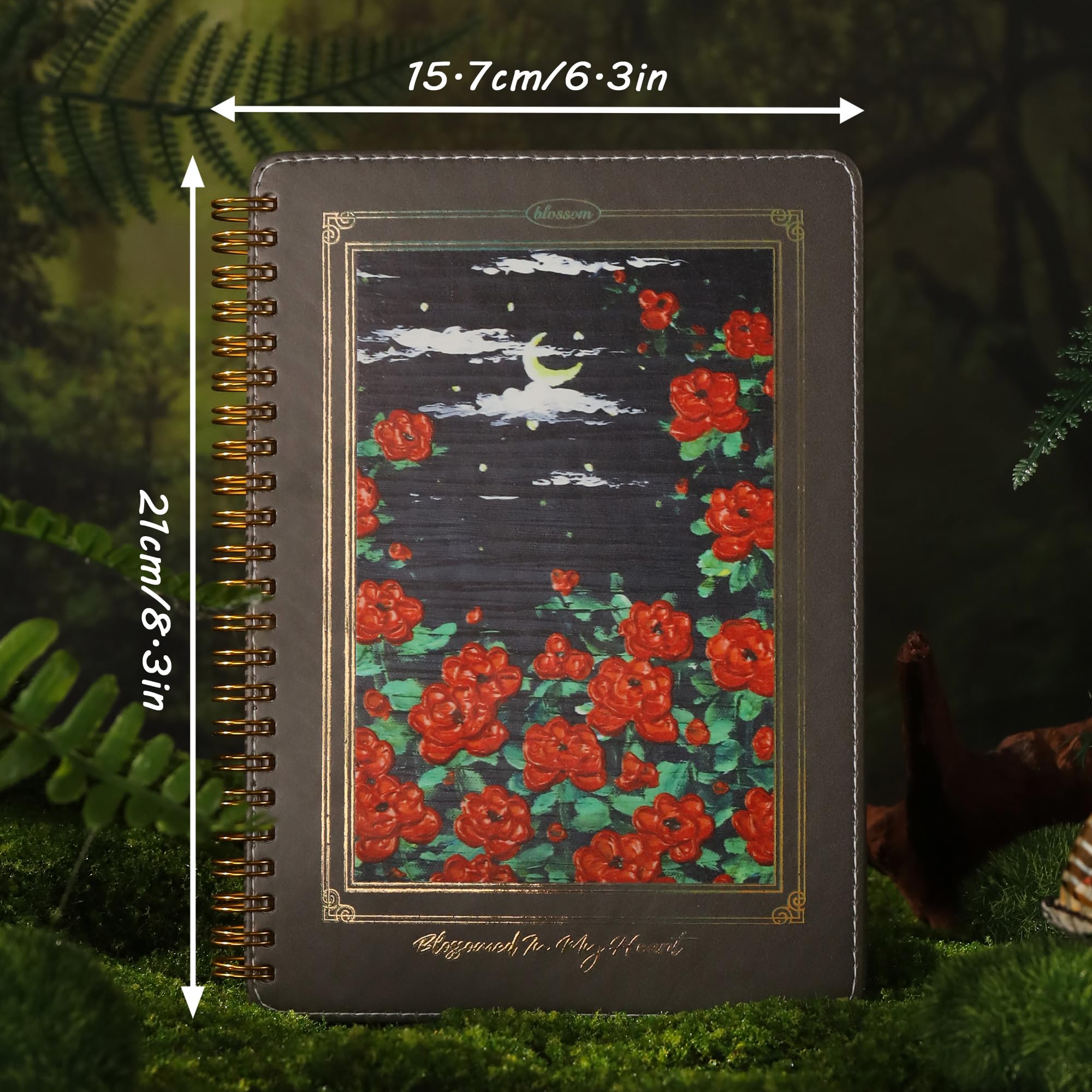 View 2