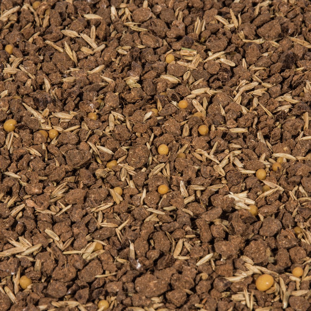 Compo SAAT Divot reparación completa Mix +, semillas de césped, semillas de sustrato, a largo plazo de fertilizantes de césped y activador del sustrato 4 kg, 20 m² (Paquete de 2)