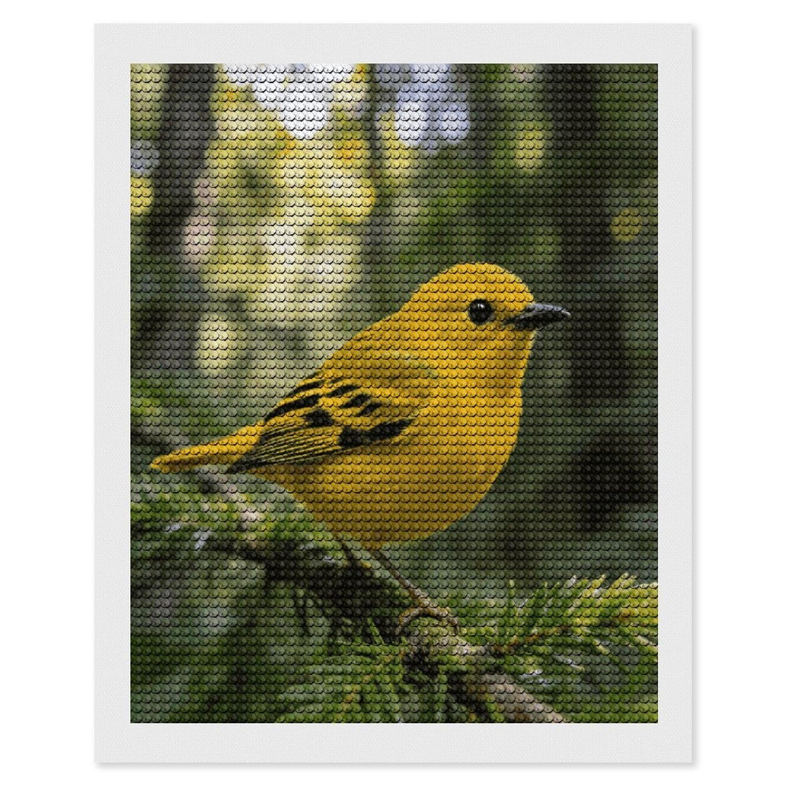 FekiLoot Warbler Diamond Art Kits for Adults Diamond Painting Kits for Beginners DIY Diamond Art Kits Round Full Drill Diamond Dot Gem Painting for Home Wall Decor Gift 16"x20"