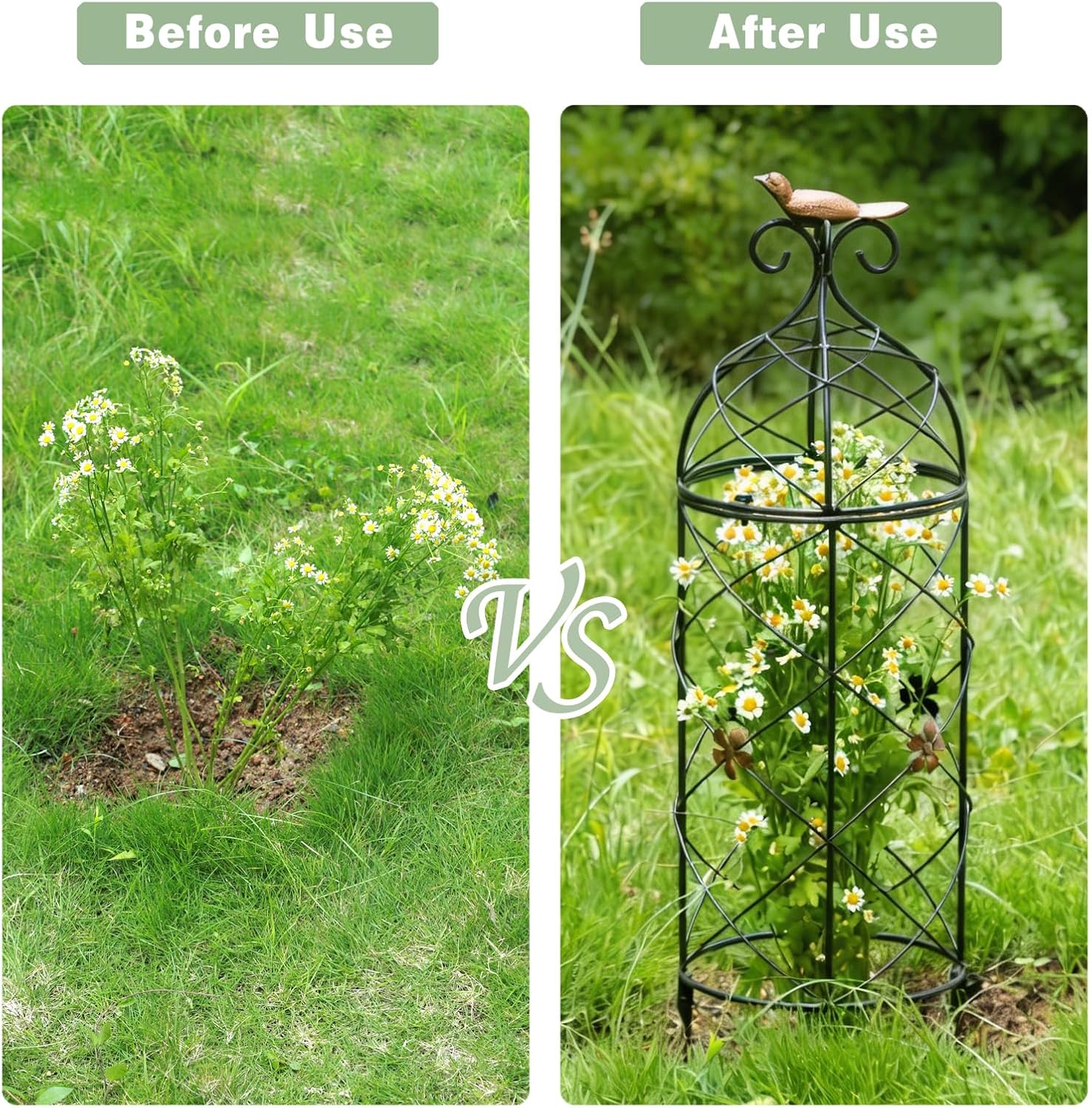 Obelisk Trellis 26" Metal Garden Support for Climbing Plants image 3