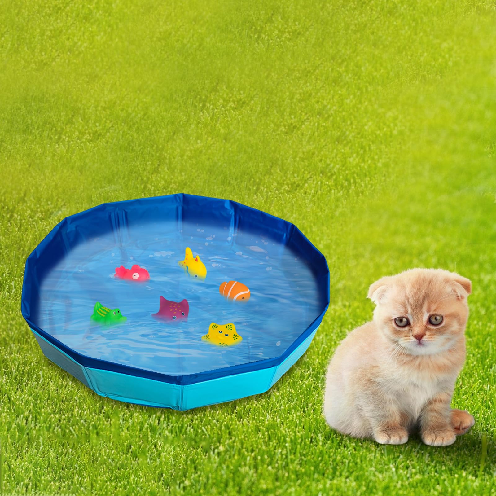 Piscine pour chat - 50 x 10 cm - Pliable - Avec 6 jouets - Mini piscine pour chat et chien - Jouet d'eau - Mini piscine pour l'été (B)
