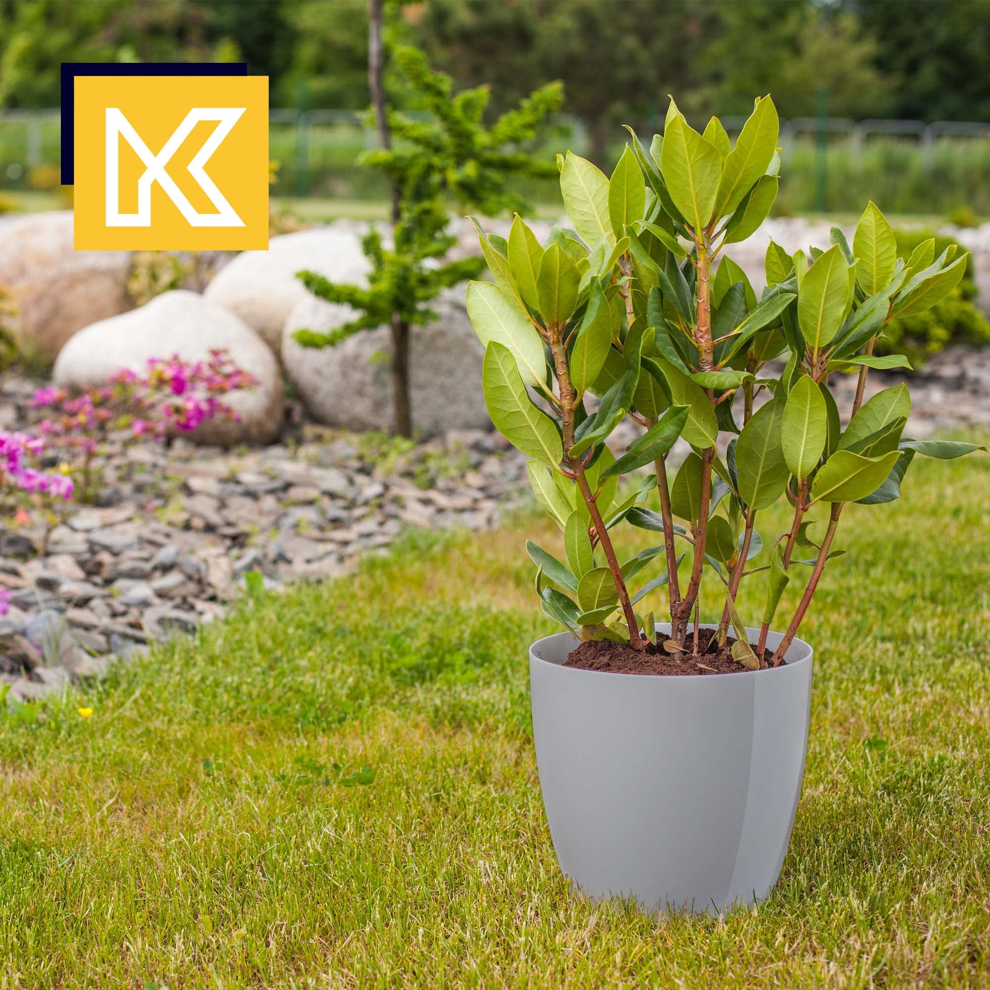 KADAX Blumentopf, Pflanzkübel-Set mit Untersetzer, Blumenkübel aus Kunststoff, runder Pflanztopf für Innenbereich, Übertopf für Blumen und Zimmerpflanzen, Kräutertopf (Set of 3 – 28cm, grau)