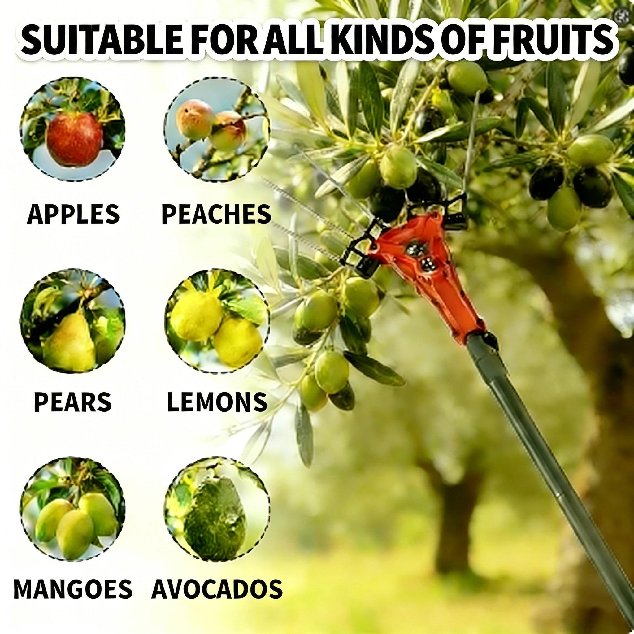 Recolector De Fruta Telescópico, De 175 A 270 Cm, con Mango Telescópico, Cable Alimentación De 10 Metros, Velocidad Ajustable Alta Y Baja, Apto para Recoger Aceitunas, Robles, Cerezas