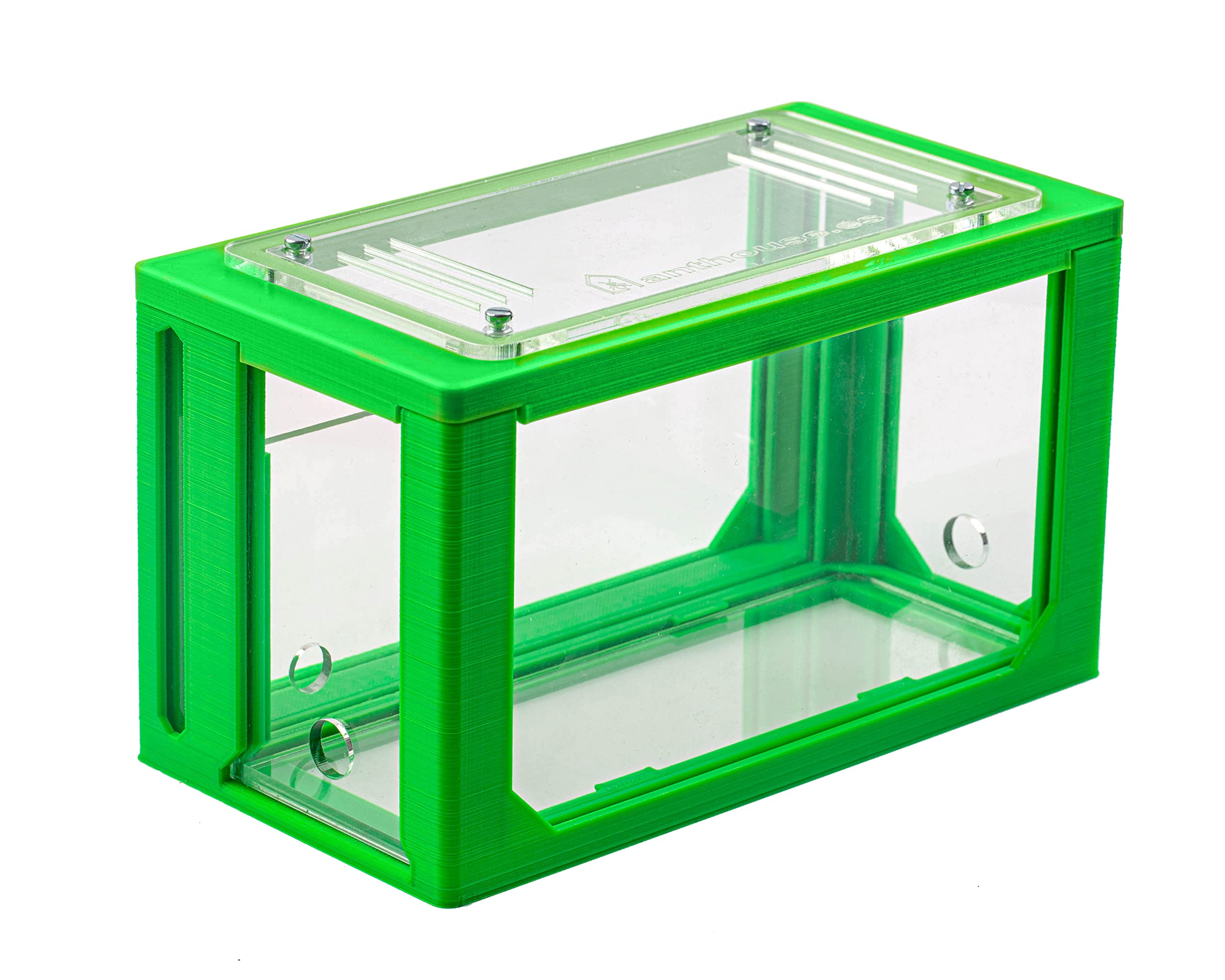 AntHouse - Fourmilière Naturelle en Sable | Kit Commencement 3D 20x10x10 cm Vert | Fourmis Incluses - 4