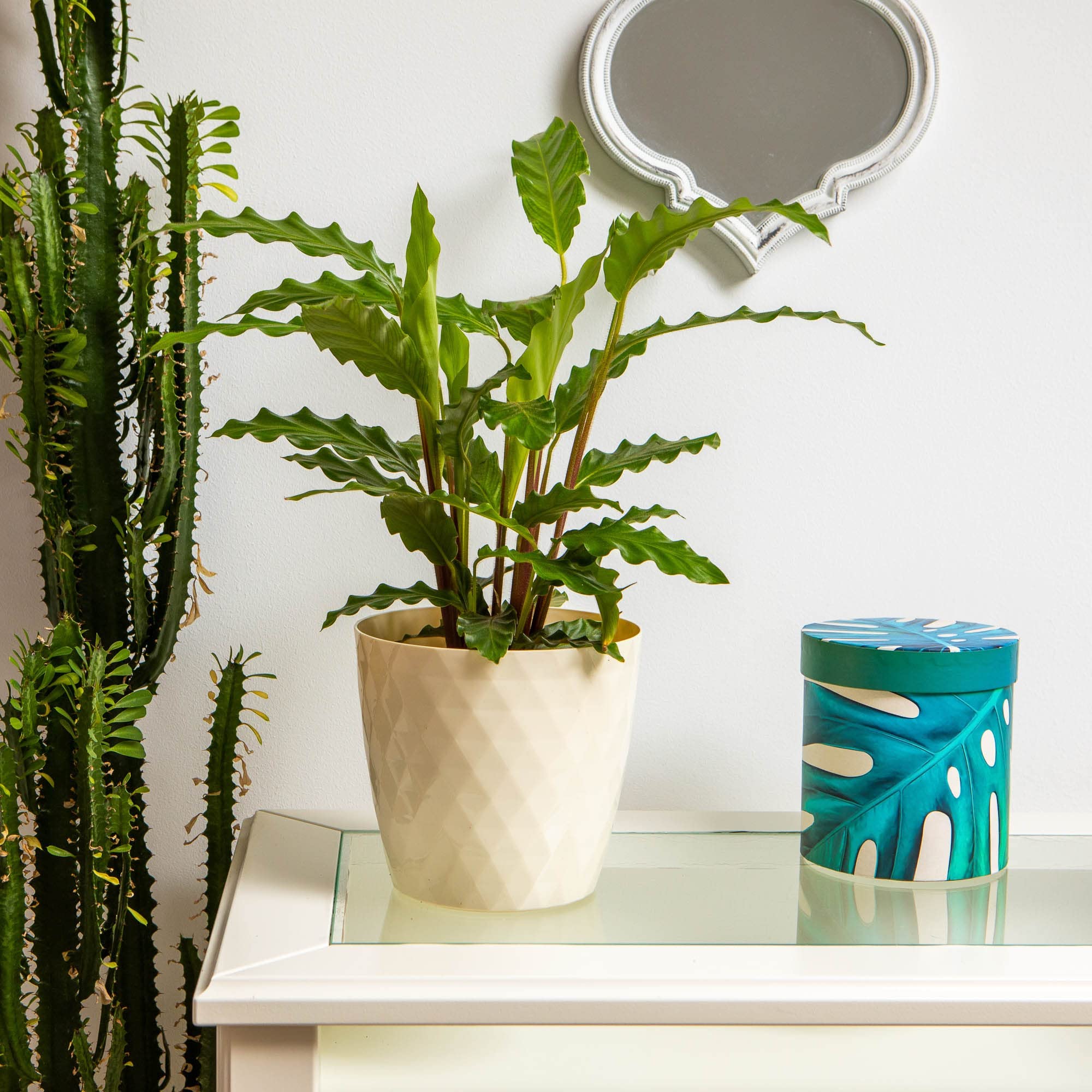 Home Garden Ornaments Plant Pots Indoor, Indoor Plant Pot - Decorative Plastic Flower Pots with Glossy Crystal Surface (Diameter: 12cm, Colour: Cream) — view 2