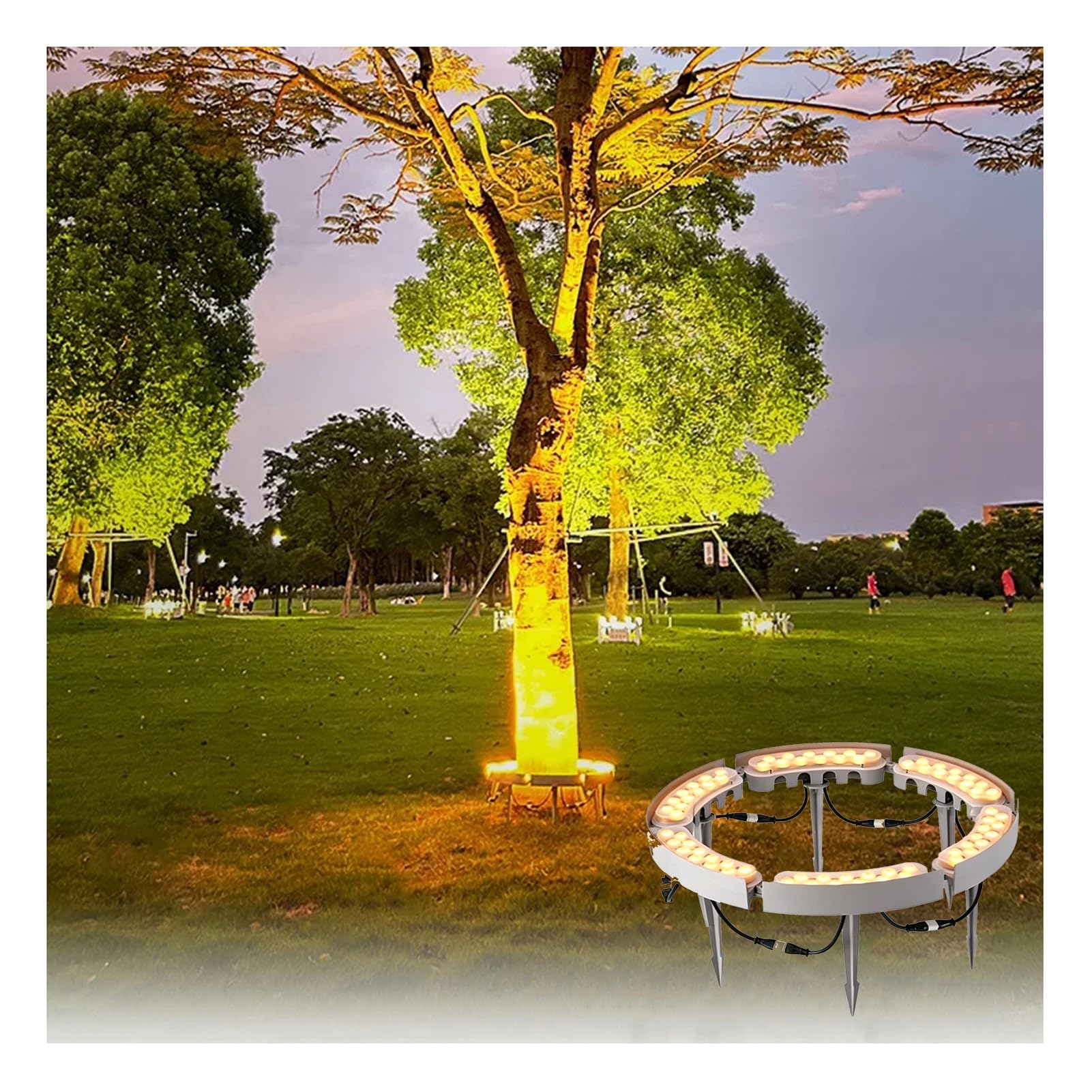 Generisch Lampa ogrodowa LED, 24 V, lampa w kształcie pierścienia, 60-96 W, wodoszczelny reflektor krajobrazowy do ogrodów, dziedzińców i trawników, stopień ochrony IP65, oświetlenie palm (zestaw 6