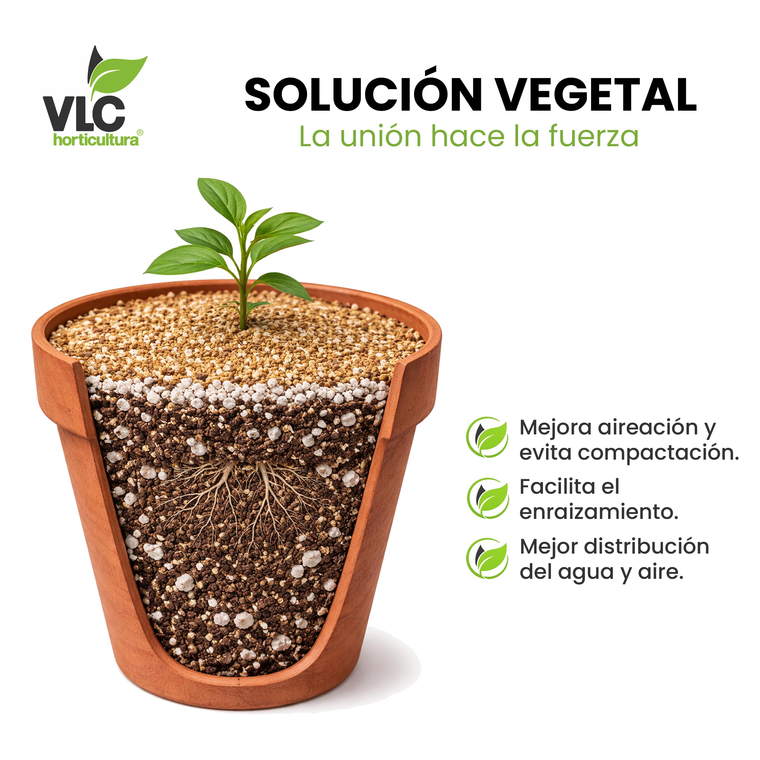 Pack Perlita + Vermiculita VLC Horticultura | Mejora Aireación y Retención de Humedad del Sustrato | Ideal para Semilleros, Macetas y Trasplantes | Minerales Naturales para Jardinería (100+100L)