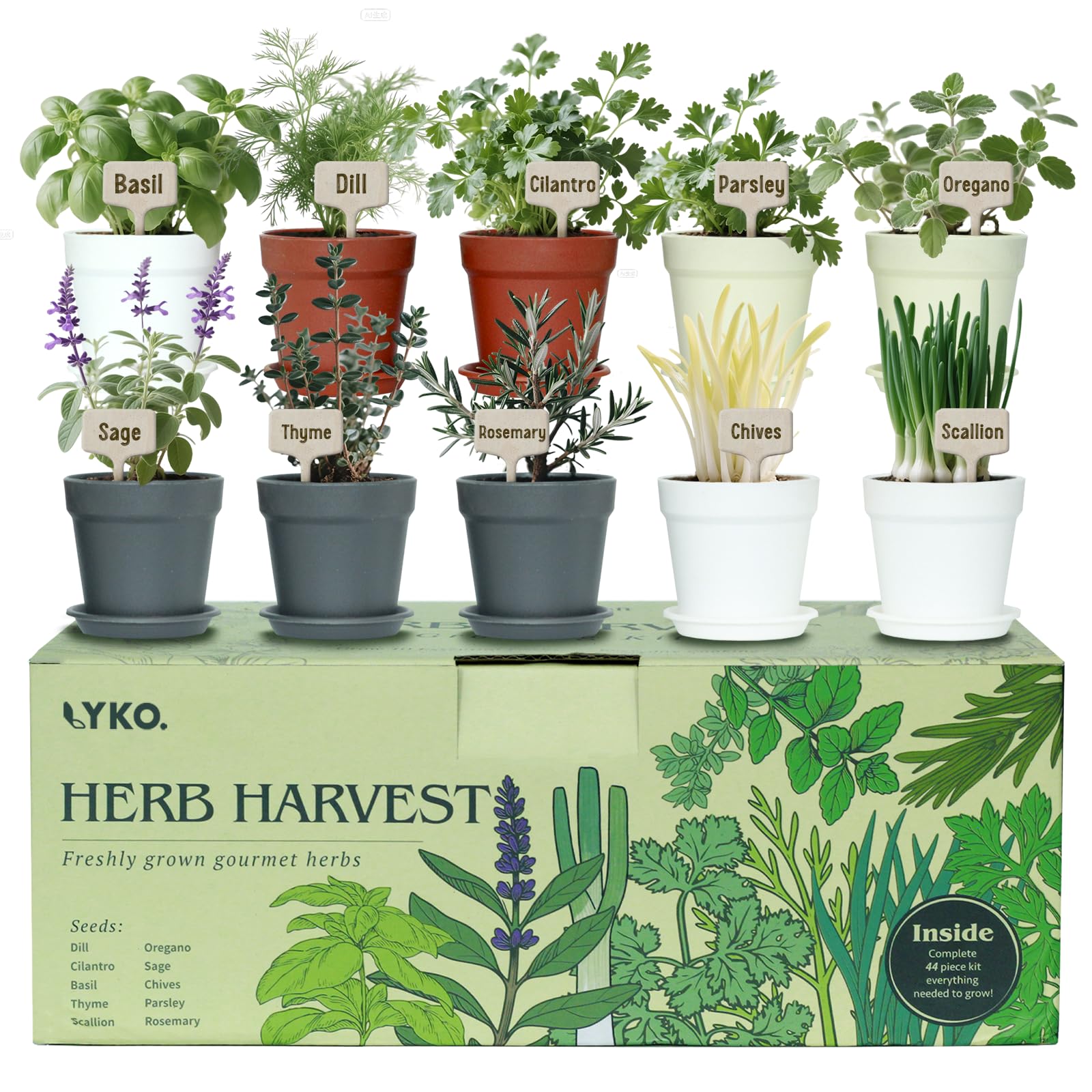 LYKOCLEAN 10 Indoor Herb Garden Kit