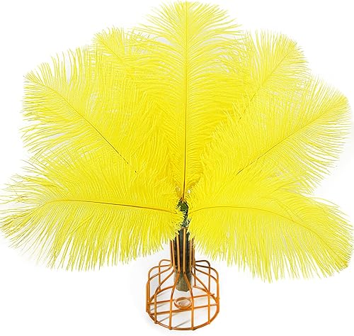 iHUFeather 20 plumas naturales de avestruz de 9 a 12 pulgadas ciruelas de plumas para jarrón centros de mesa de boda fiesta manualidades decoración