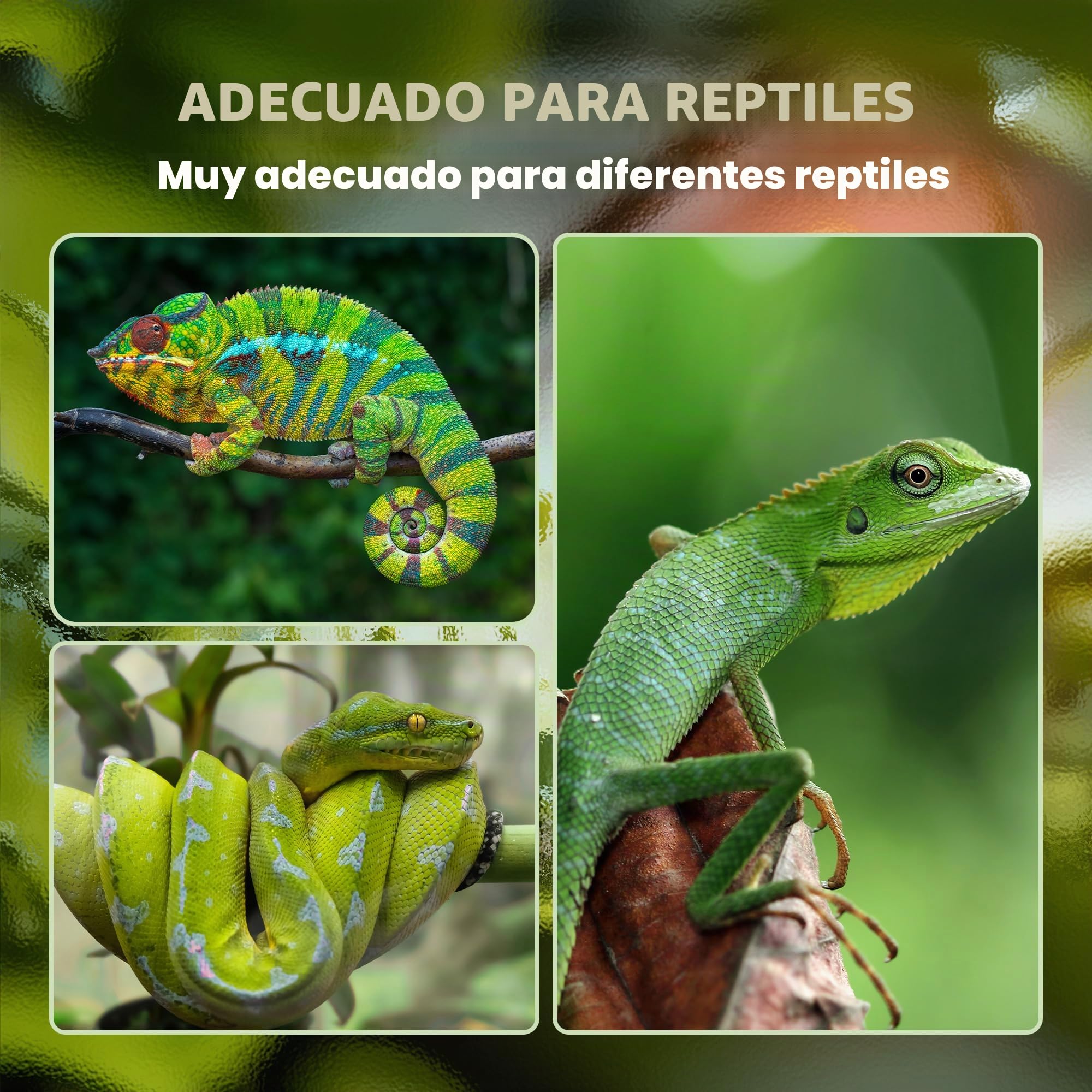 PawHut terrario de Aluminio para Reptiles Anfibios arácnidos Caja de cría de Reptiles terrario de Malla Blanco+Plata+Negro 120 x 40 x 40 cm