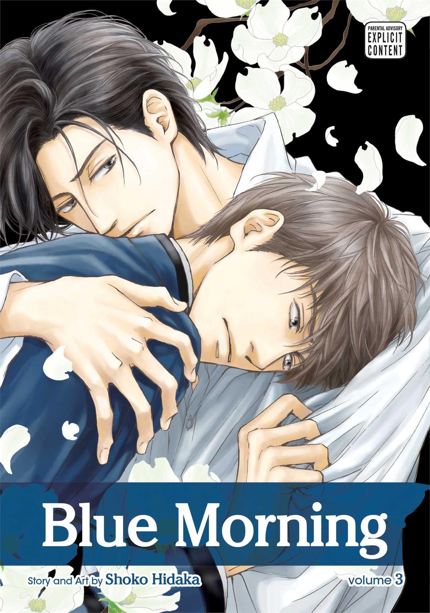 Blue Morning, Vol. 3 Paperback – Illustrated, November 12, 2013
