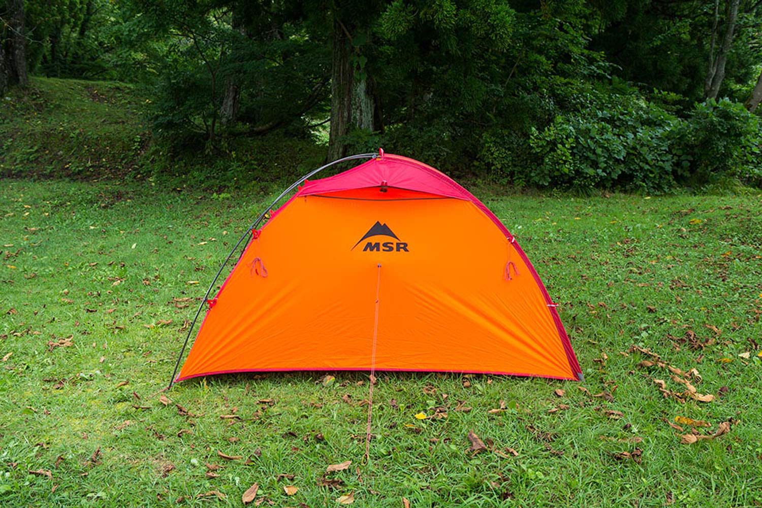 Amazon | エムエスアール(MSR) アウトドア 登山 プロフェッショナル 