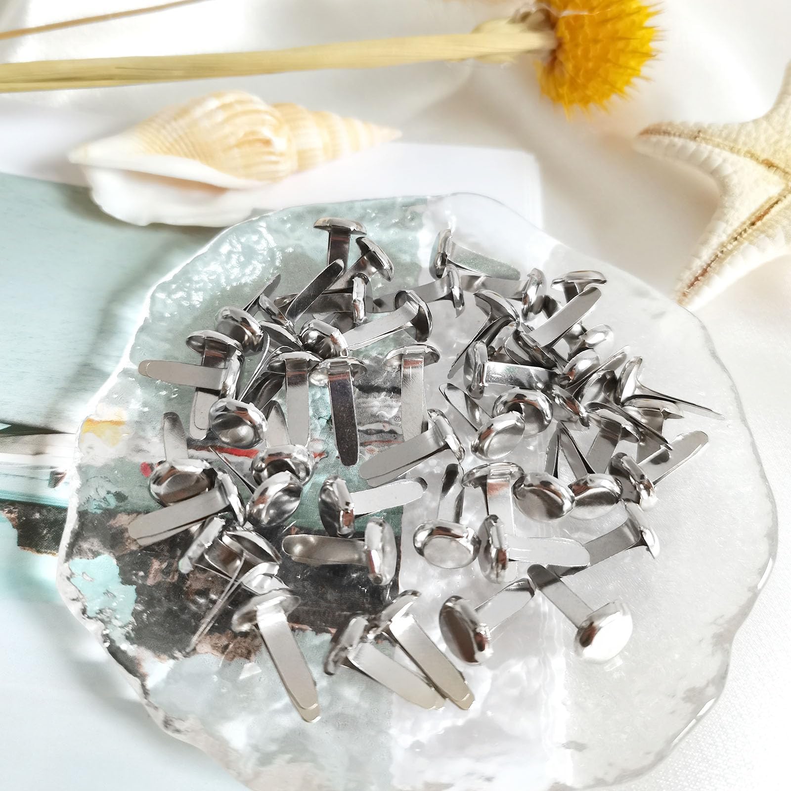Fermacampioni Ottonati 200 Pezzi, Clip in Metallo A Testa Tonda per Carta Scrapbooking