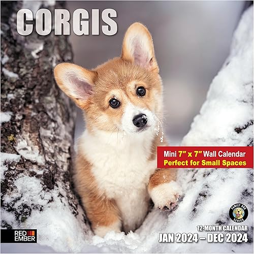 Red Ember - Mini calendario de pared para espacios pequeños Corgis 2024 colgante mensual mensual Solo 7 x 14 pulgadas abierto Papel grueso y