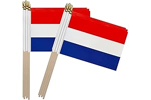 TSMD Netherlands Holland Hand Held Small Stick Flag