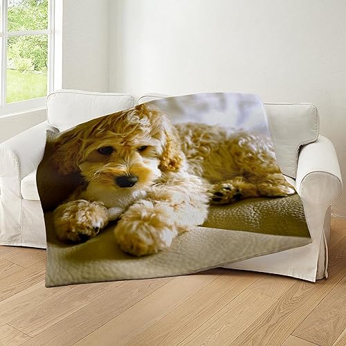 Miniatura 5 de CafePress The Cockapoo - Manta de felpa de forro polar súper suave, 60 x 50 pulgadas