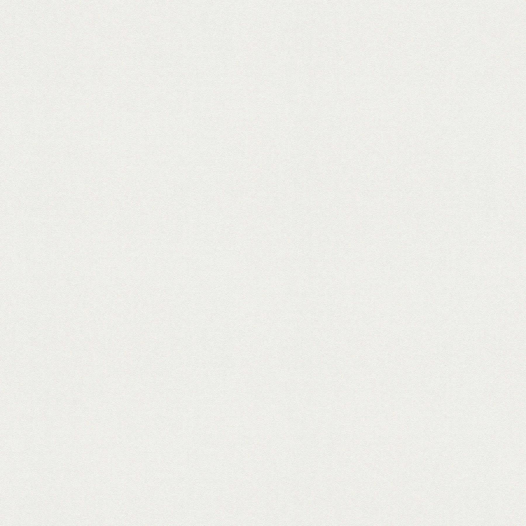 A.S. Création Malowana tapeta flizelinowa Meistervlies tapeta 25,00 m x 1,06 m biała Made in Germany 574718 5747-18