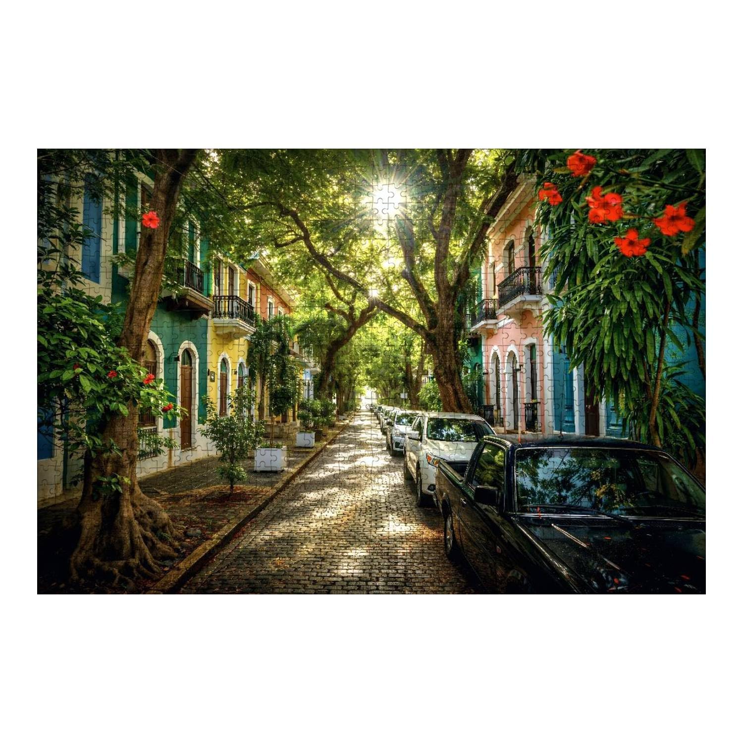 Beautiful Street Full of Trees in Old san Juan Puerto rico Puerto 1000 Piece Wooden Jigsaw Puzzle DIY Children Educational Puzzles Adult Decompression