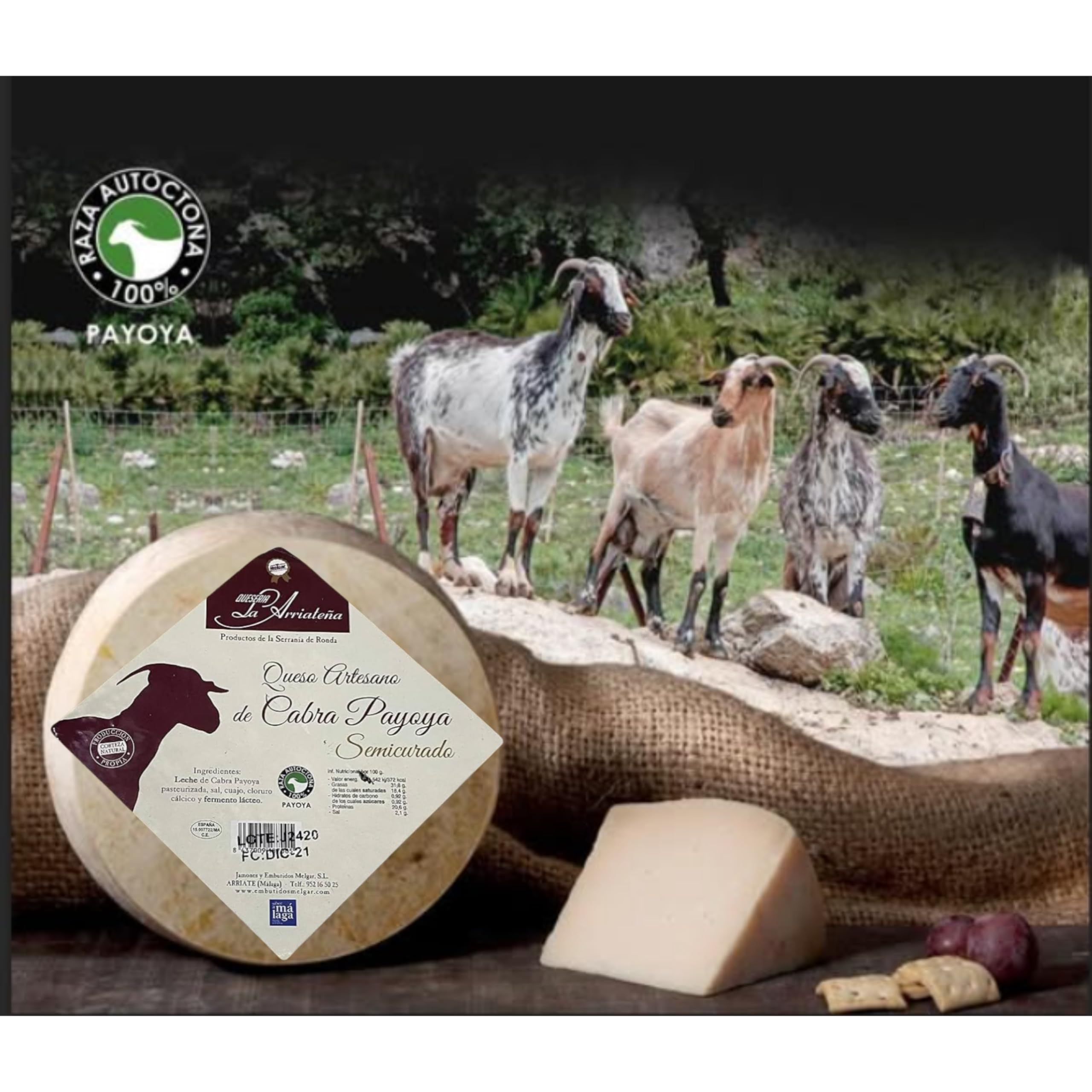 Queso Semicurado de Cabra Payoya Artesano 1.8-2 kg Sabor Intenso Cremoso