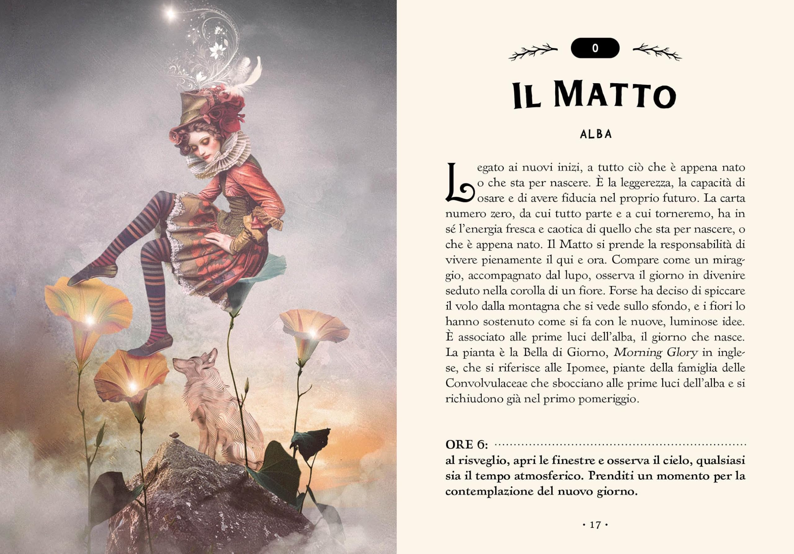 I tarocchi della foresta. Ediz. a colori. Con 78 Carte