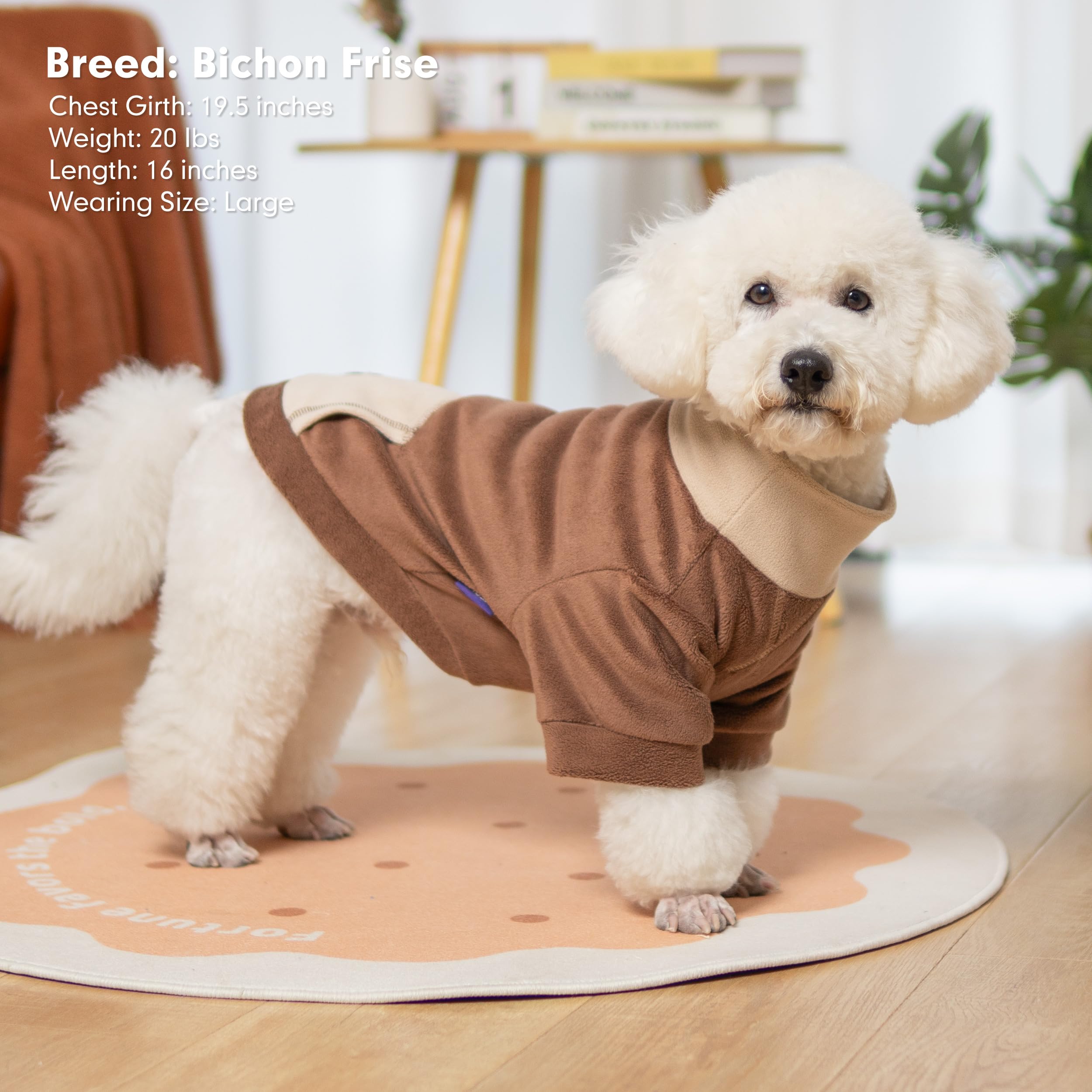 cyeollo Paquete de 2 suéteres para perros pequeños, suéter de invierno suave de cuello alto para perros pequeños, machos y hembras, sudadera cálida para perros, ropa elástica y cómoda para mascotas,