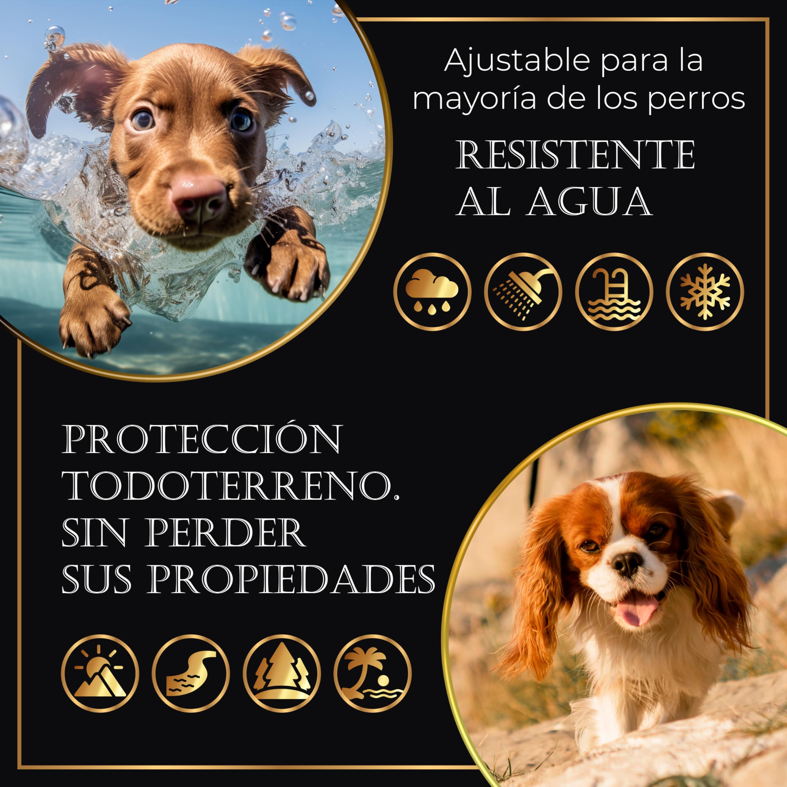 Pack 4 Collares Antiparasitarios para Perros, 24 Meses de Protección contra Pulgas, Garrapatas y Mosquitos - 100% Natural, Impermeable, Ajustable, para Todos los Tamaños. — view 3