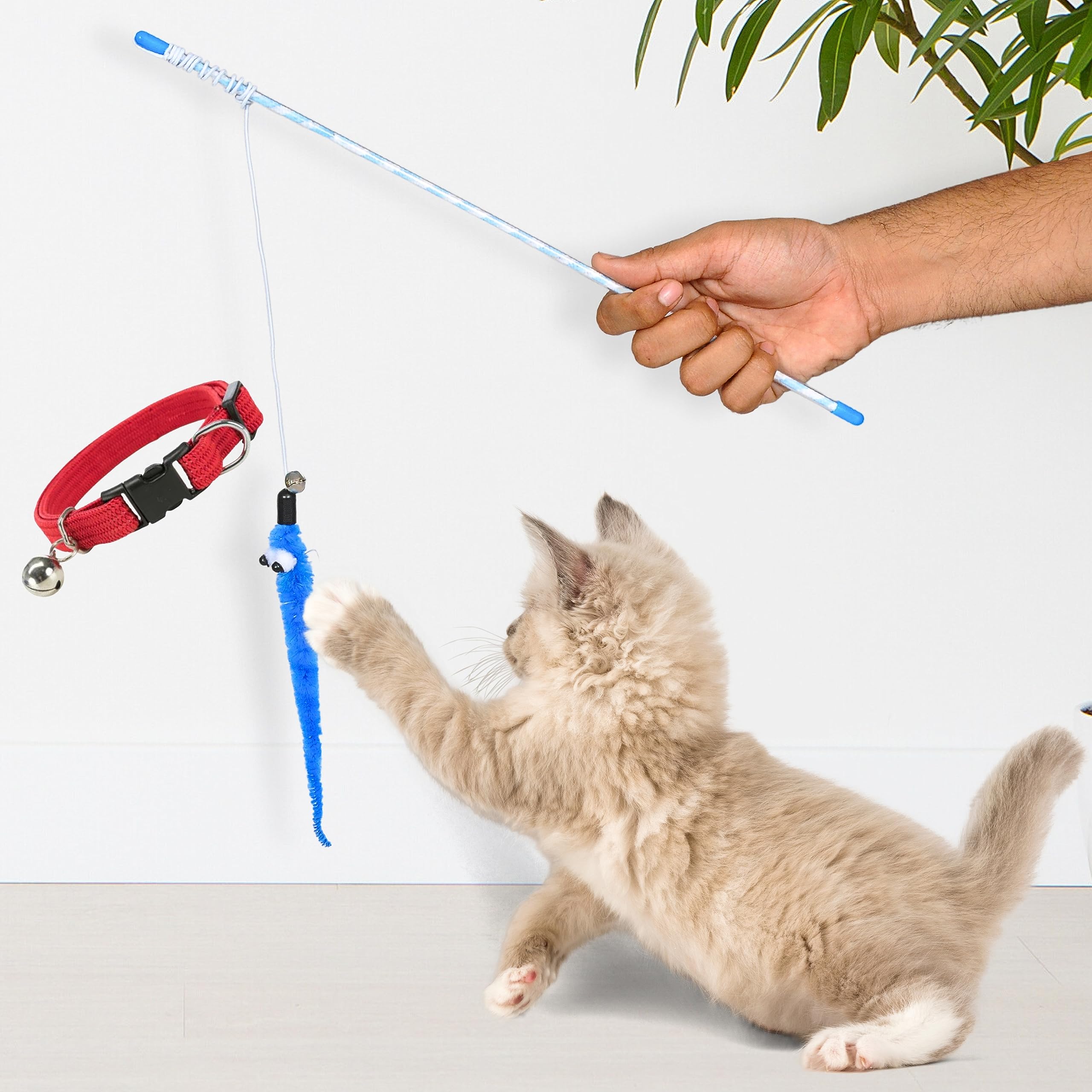 BURAQ Interactive Cat Plastic Toy with Bell Help Your Cats Keep Active | Playing | Training | Plastic Stick | Teaser Toy for Cats & Other Pets (Cat Plastic Teaser Toy) (B0CGNPKDGH) Amazon Price History, Amazon Price Tracker