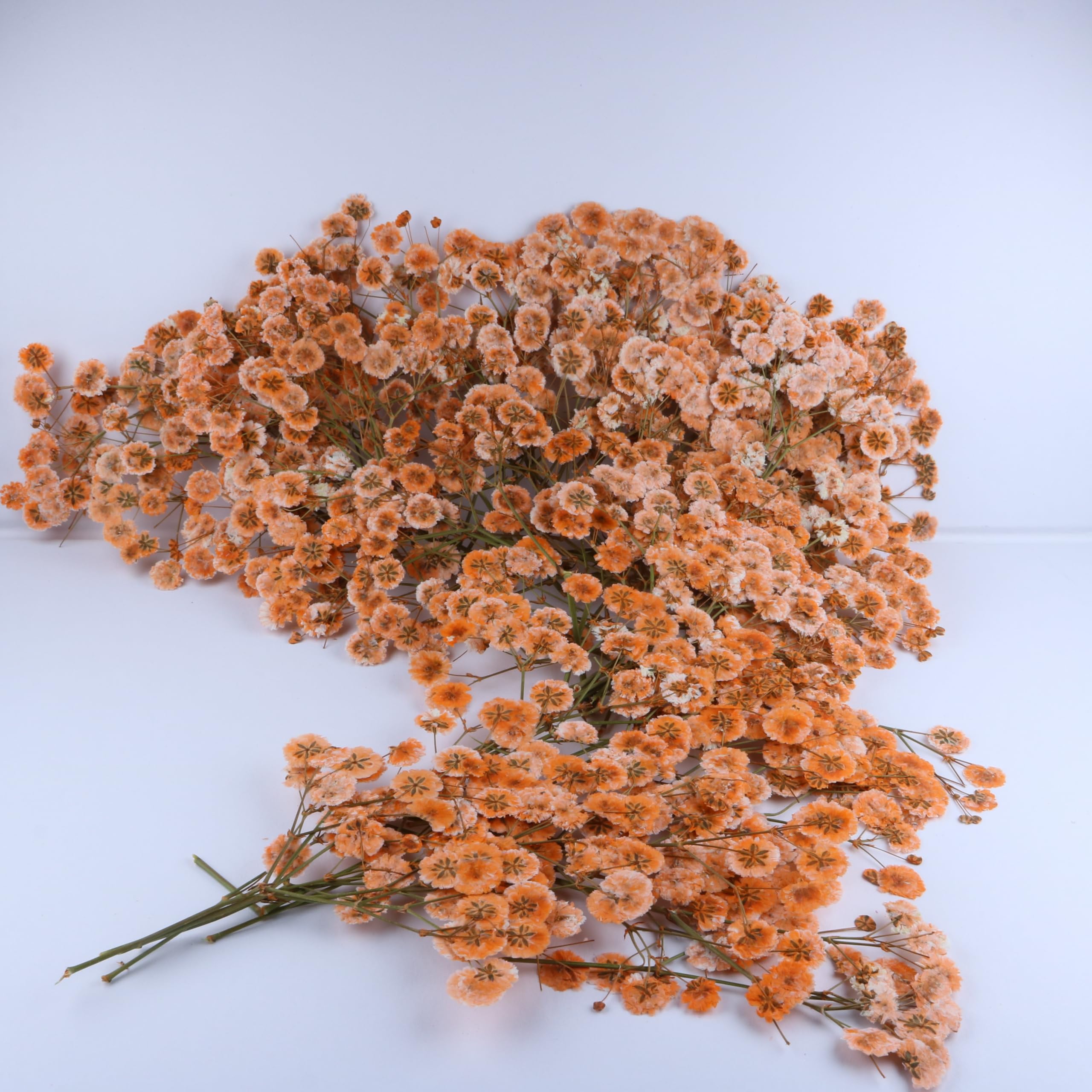 Gypsophila 100 szt. pomarańczowe suszone kwiaty do żywicy, tłoczony kwiat na zaproszenia ślubne pieczęcie woskowe