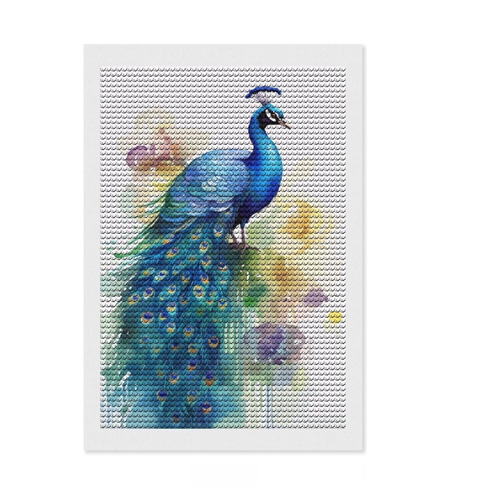 Junmoney Cute Peacock Watercolor DIY Diamond Art Canvas Kit 8"x12", for Teens, Good for Quiet Evenings, Living Room Decor, Christmas Gift