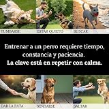 Ver la foto 5