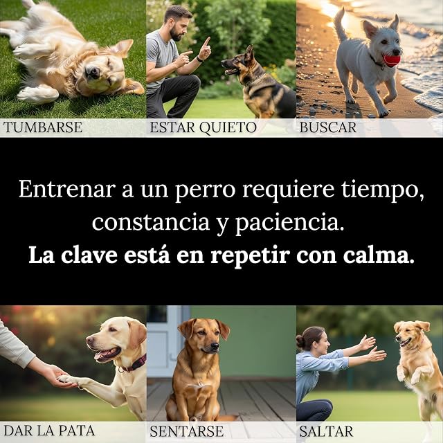 Foto 5 de 6 de Pavlova’S Silbato para Perros de Nogal Suizo 11 cm, Hecho a Mano en Suiza, Madera de Nogal y Acero Inoxidable