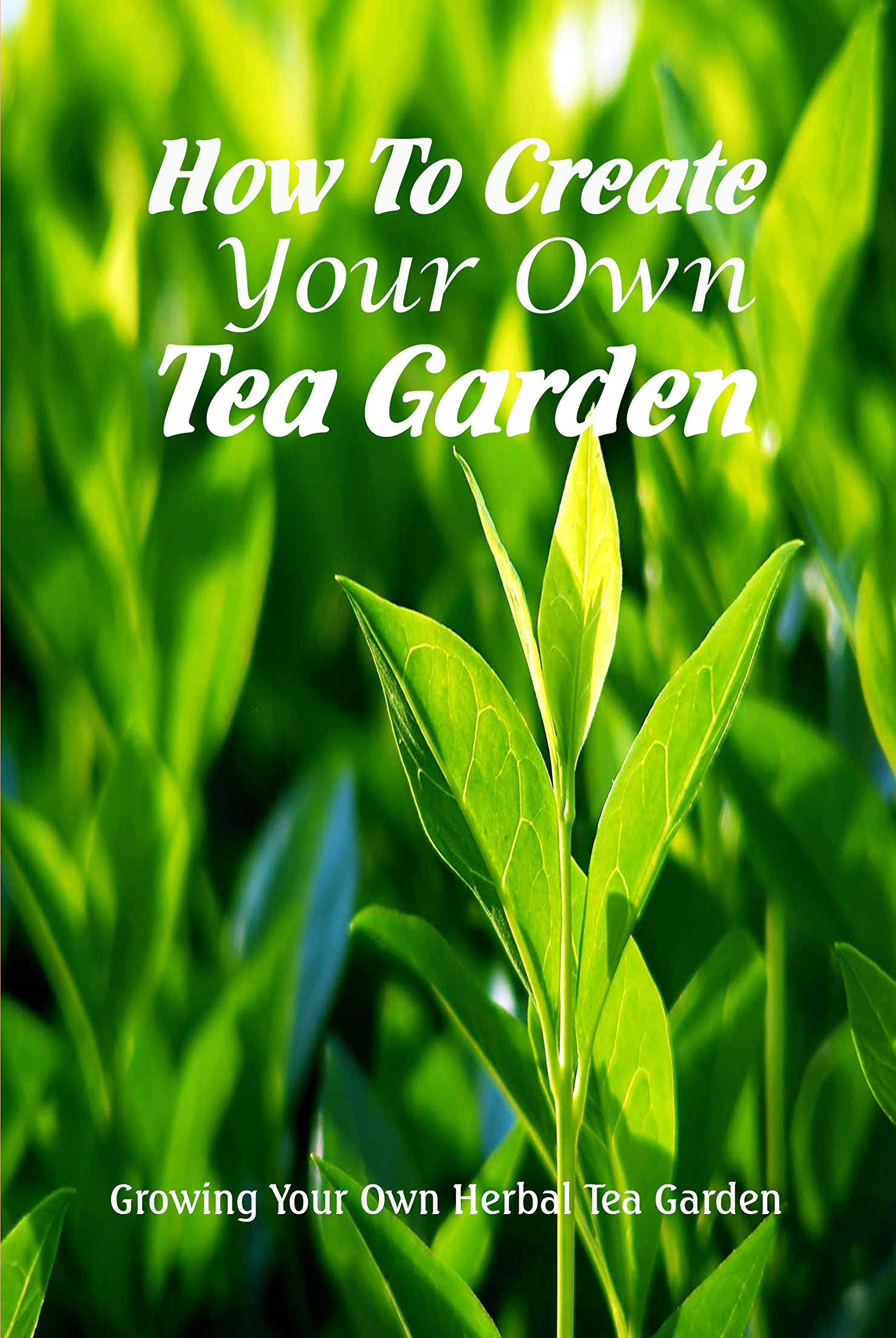 How To Create Your Own Tea Garden: Growing Your Own Herbal Tea Garden: A Complete Guide to Grow Tea Garden
