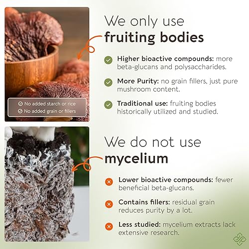 Miniatura 4 de Suplemento orgánico de cápsulas de hongos Reishi (120)  Extracto de alta resistencia 101 de cuerpo fructífero puro  30% de glucanos beta-D  9,000 mg