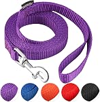 AMAGOOD 6 FT Puppy/Dog laisse, solide et durable style traditionnel laisse avec facile à utiliser crochet de collier, 3/8" 5/8" 3/4" 1" Lead Chien Great pour Petit et Moyen et Grand Chien (Noir,1" x 6 Pieds)