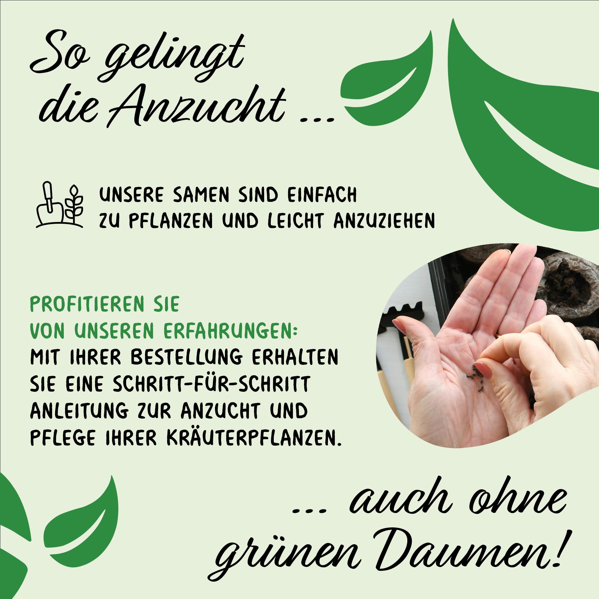 Set de graines d'herbes aromatiques PRADEMIR - 16 variétés d’herbes aromatiques - Graines 100% naturelles – Variétés les plus populaires du Portugal à haut taux de germination.