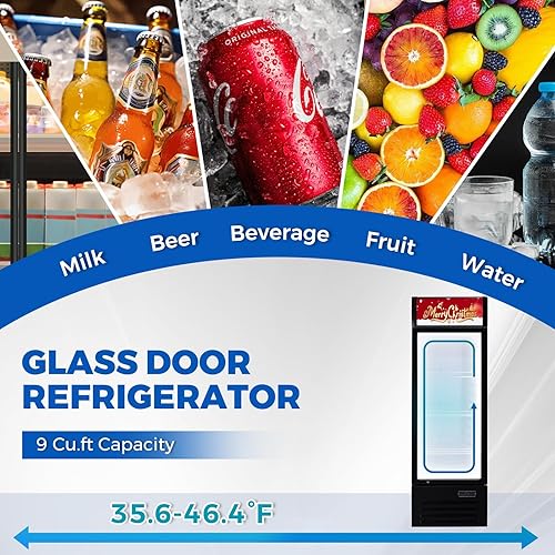 Miniatura 5 de Refrigeradores comerciales de 9 pies cúbicos verticales - Refrigerador de bebidas con puerta de vidrio con luz LED, estantes ajustables, ruedas de