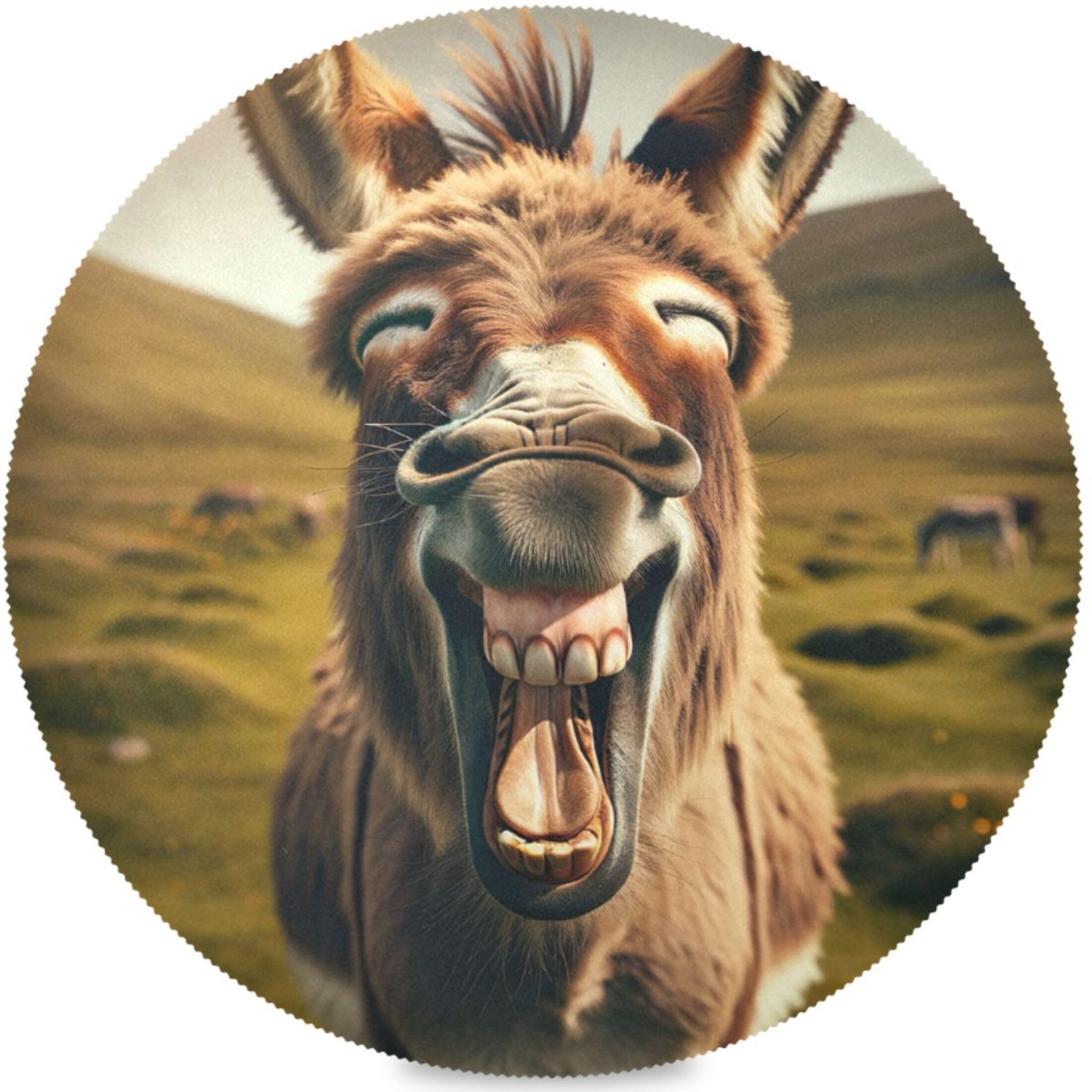 Funny Donkey Laughing Round Spring Placemats Polyester Place Mat Fun Print Kitchen Dinning Table Decor, 15.4inch / 39cm
