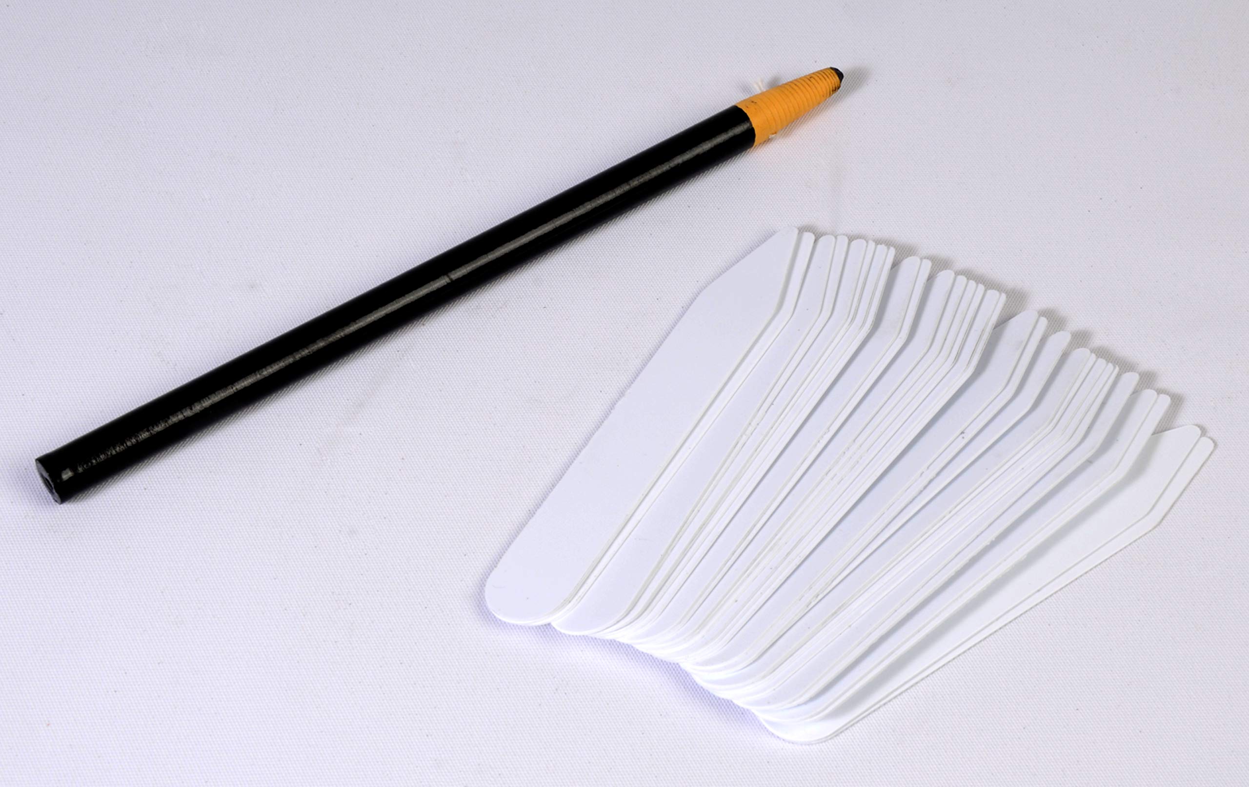 American Educational Environmental Ecology Seed Kit - Image 6