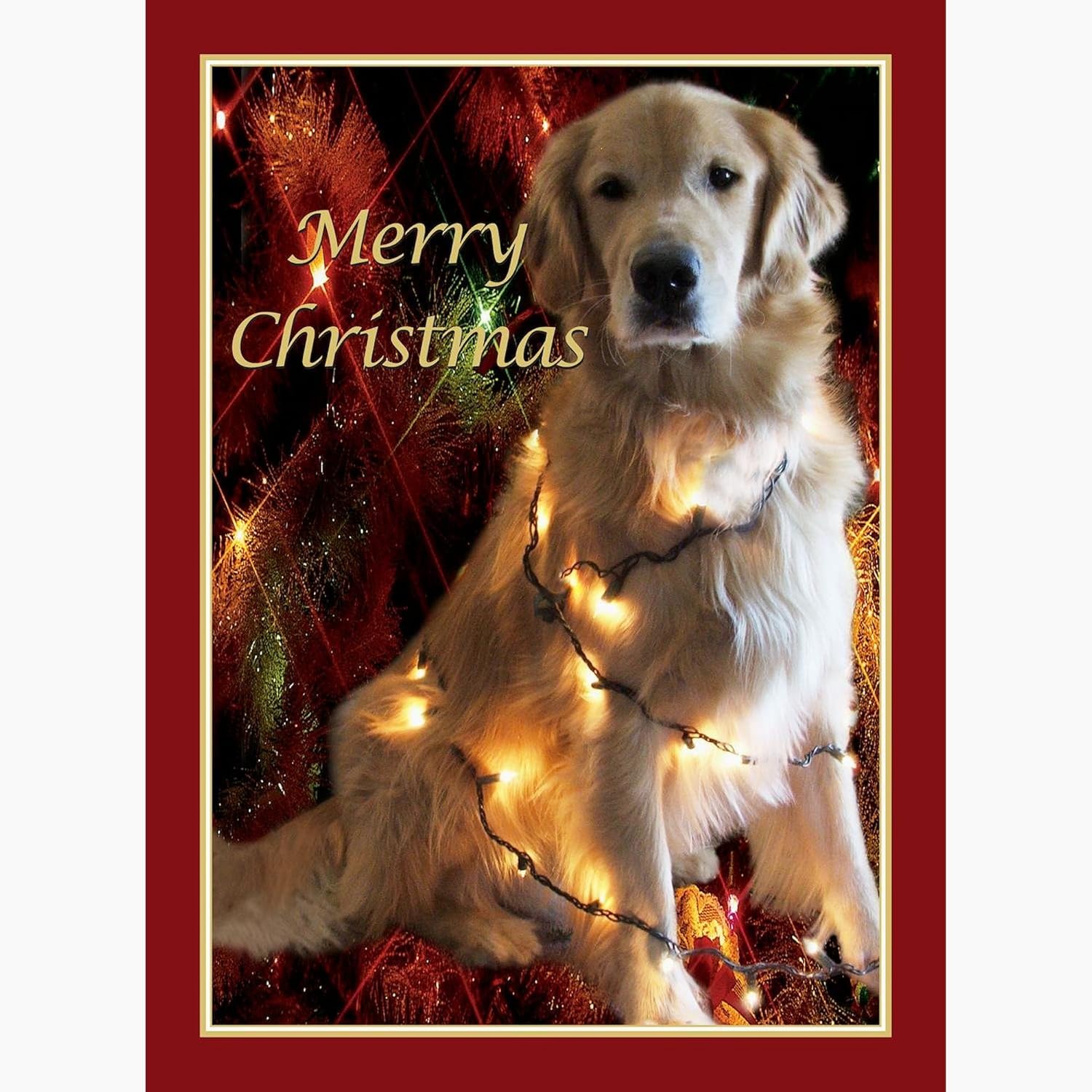 CafePress Golden Retriever Merry Christmas Card Folded Greeting Cards (10-pack) Matte
