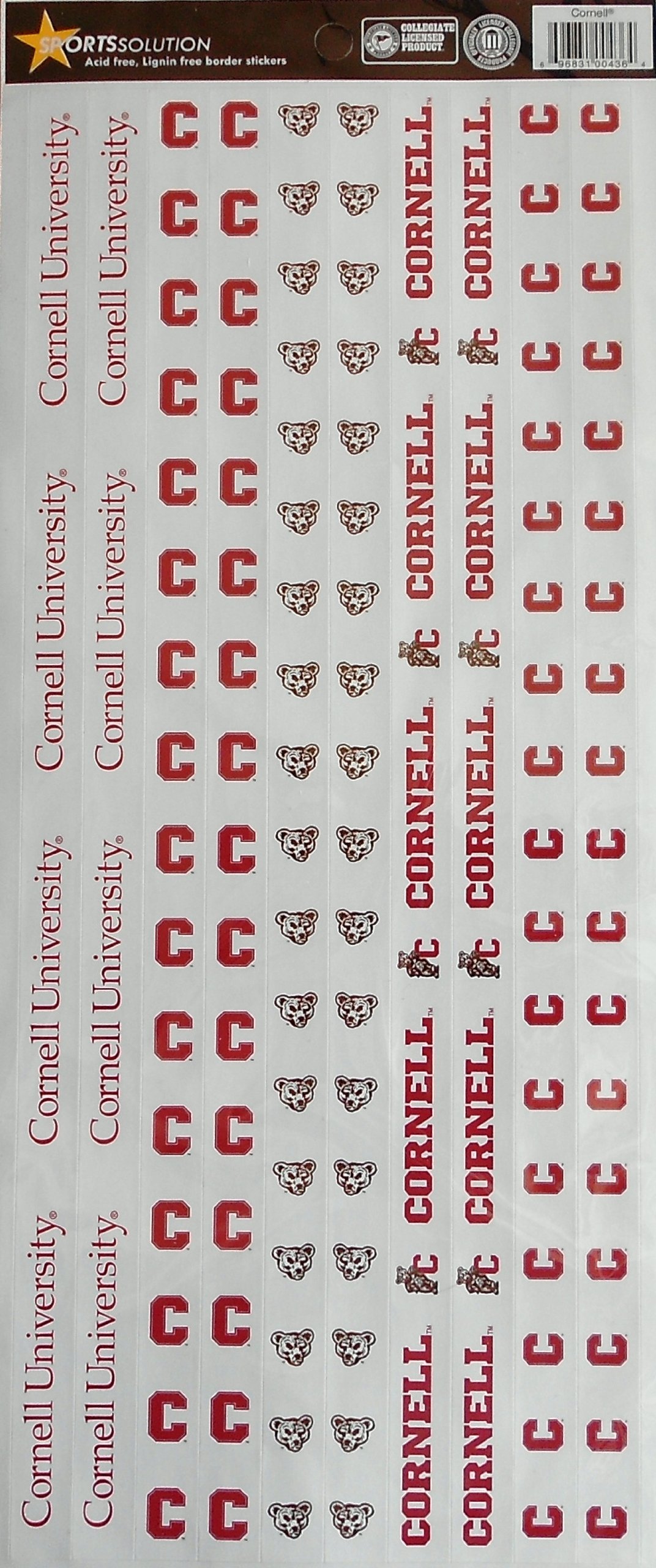 Sports Solution Cornell Big Red Border Sticker