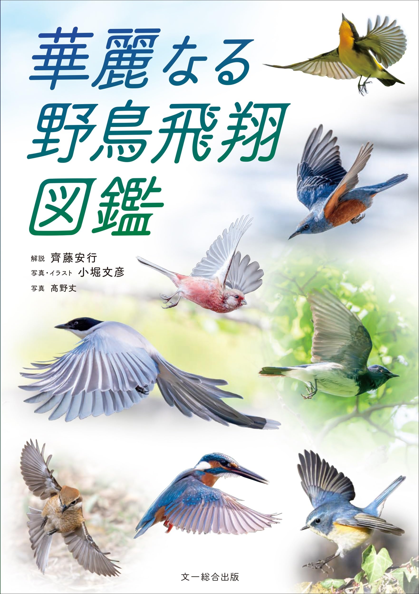 華麗なる野鳥飛翔図鑑 | 齊藤安行, 小堀文彦 |本 | 通販 | Amazon