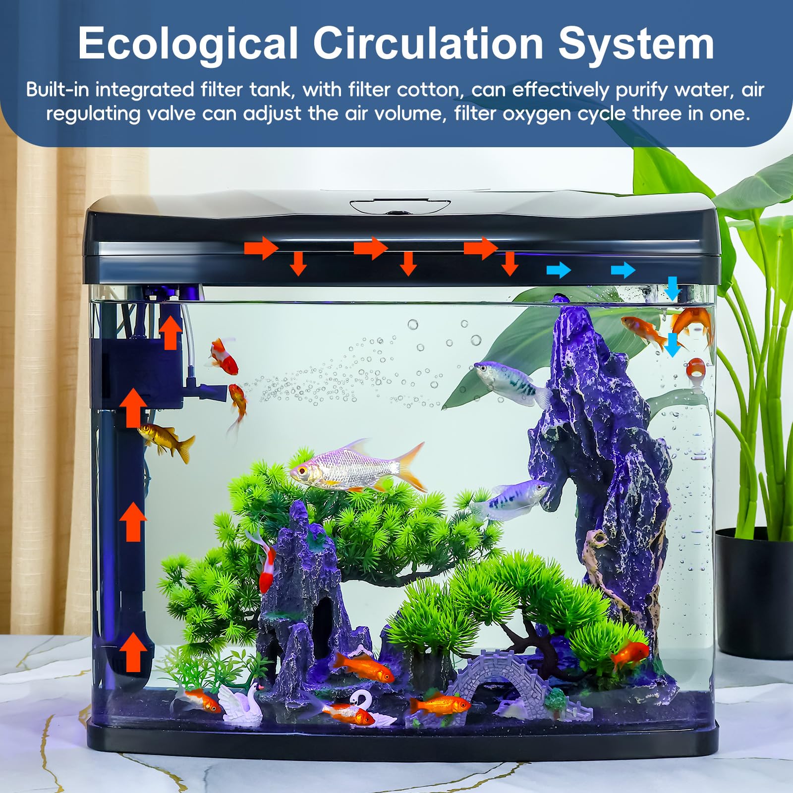 Fishing Glasses 10 Gallon Glass Betta Tank Kit Eco Filter, LED