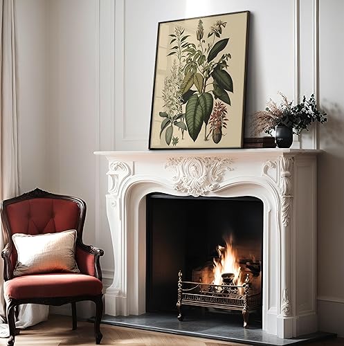 Miniatura 4 de Poster Master Póster vintage de flores silvestres, estampado botánico retro, arte de pared de plantas exóticas, arte de orquídeas, regalo para