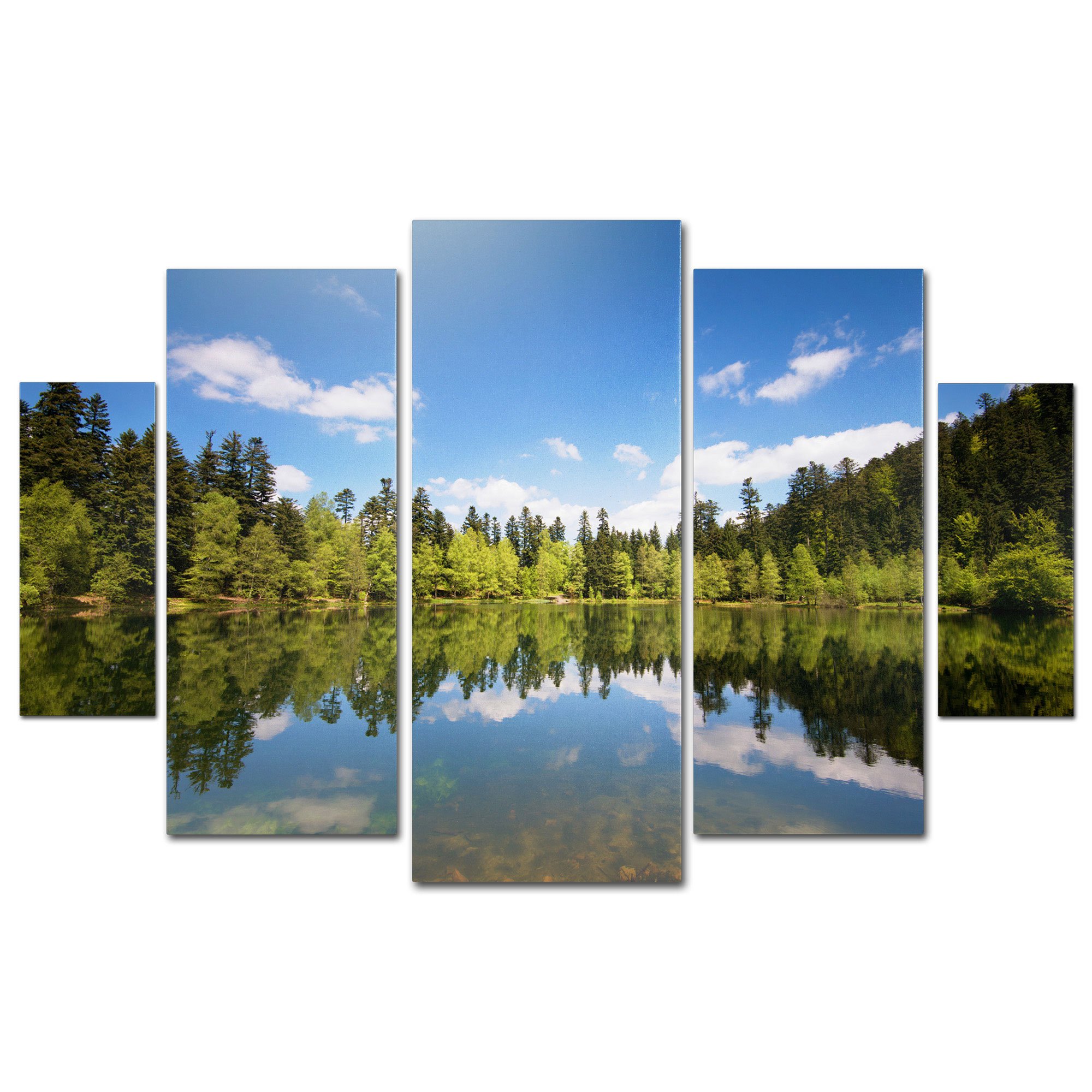 Trademark Fine Art Lake Maix by Philippe Sainte-Laudy Gallery-Wrapped Art 5-Panel Set